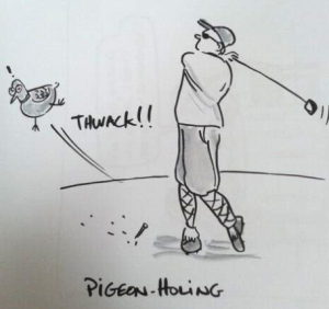 pigeon